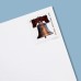 2008 US Liberty Bell Forever Stamps