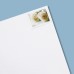 2011 US First-Class Forever Stamp - Wedding Roses